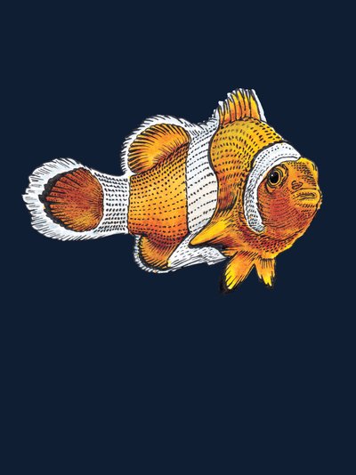 The Clownfish on Midnight Blue, 2022 tekijältä Mike Davis