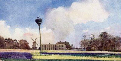 The Return of the Storks (väri litho) tekijältä Mima Nixon