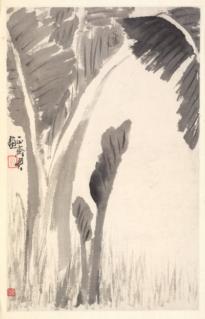 Banaanikasvit, 1788. tekijältä Min Zhen
