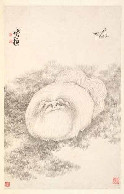 Kissa ja perhonen, 1788. tekijältä Min Zhen