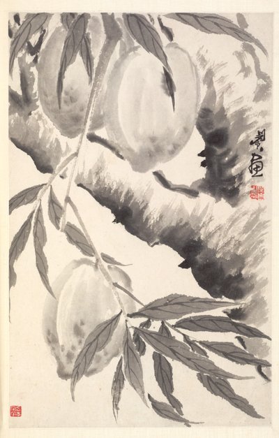 Persikat, 1788. tekijältä Min Zhen