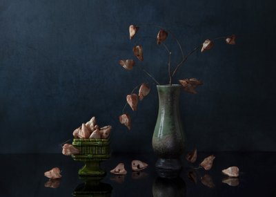  tekijältä Ming Chen