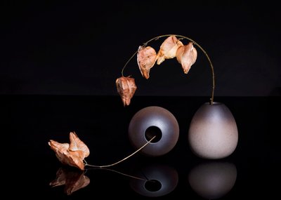  tekijältä Ming Chen