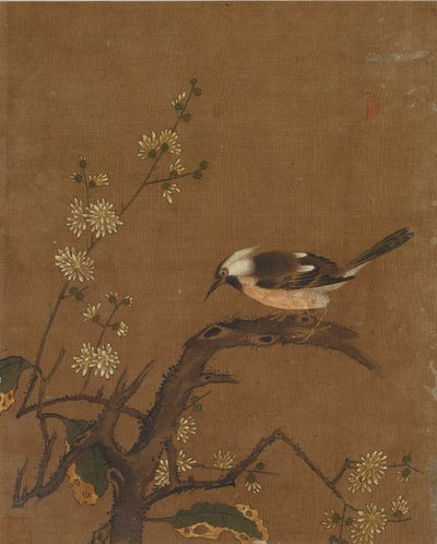 Kymmenen kuvaa linnuista ja kukista (väri silkillä) tekijältä Ming Dynasty Chinese School