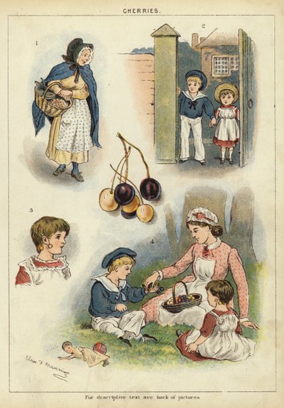 Kirsikat (chromolitho) tekijältä Miss Eliza F. Manning