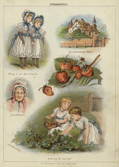 Mansikat (chromolitho) tekijältä Miss Eliza F. Manning