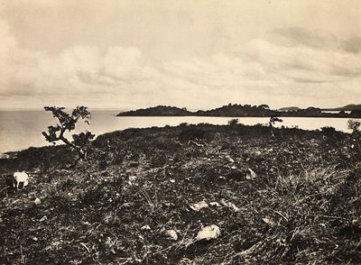 Imperiumin rakentaminen fasistisella aikakaudella: Tanajärvi. Etiopia, 5.9.1936 (m/w kuva) tekijältä Modestino Baldinetti