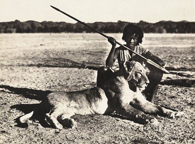 Imperiumin rakentaminen fasismin aikana: esimerkki leijonasta, 09/05/1936 (s/w-kuva) tekijältä Modestino Baldinetti