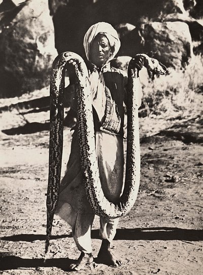 Imperiumin rakentaminen fasistisella aikakaudella: alkuperäisväestö pythonin kanssa, 09.5.1936 (mv/w kuva) tekijältä Modestino Baldinetti