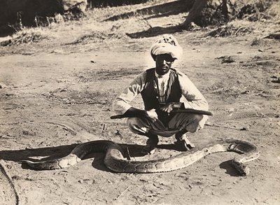 "Imperiumin rakentaminen" fasistisella aikakaudella: alkuperäisväestö pythonin kanssa, 9.5.1936 (m/v kuva) tekijältä Modestino Baldinetti