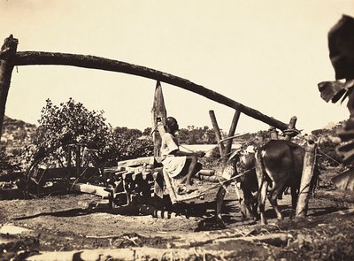 "Imperiumin rakentaminen" fasistisella aikakaudella: alkuperäiskansat Noria, 9.5.1936 (m/v kuva) tekijältä Modestino Baldinetti