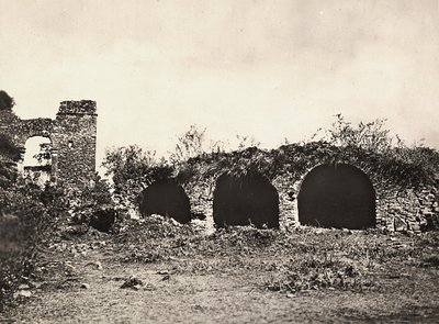 Imperiumin rakentaminen fasistisella aikakaudella: leijonien oja kuningas Fasiladasin linnassa Gondarissa, Etiopiassa, 9.5.1936 (mv/v kuva) tekijältä Modestino Baldinetti