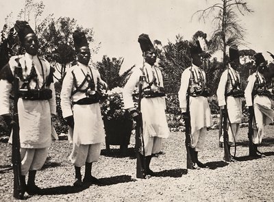 Imperiumin rakentaminen fasistisella aikakaudella: uskolliset, 5.9.1936 (mv. kuva) tekijältä Modestino Baldinetti