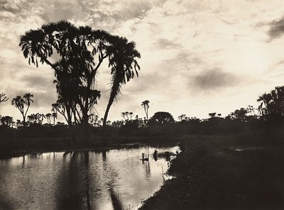 Imperiumin rakentaminen fasistisella aikakaudella: läntinen alatasango, 9.5.1936 (mv/w kuva) tekijältä Modestino Baldinetti