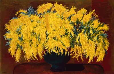 Mimosat tekijältä Moise Kisling