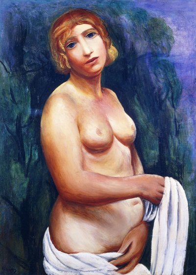 Nude with White Drape; Nu au drap blanc, 20. vuosisata (öljy kankaalle, kehys) tekijältä Moise Kisling