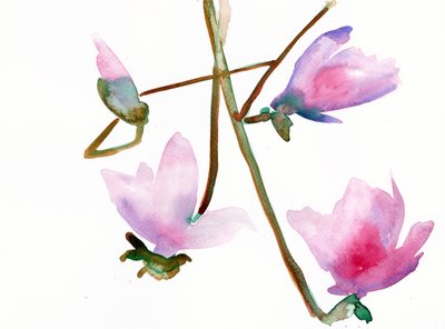 Magnolia 1, 2022 (vesiväri Langton, 300 g/m² kylmäpuristettu paperi). tekijältä Monica Perez Vega