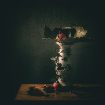 Moody Strawberry -jalusta tekijältä Monique van Velzen