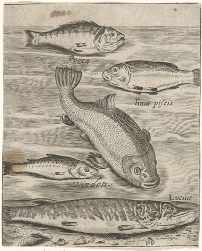 Studieblad met vijf vissen Fish live -kuvakkeet (sarjan nimi) tekijältä Monogrammist P+P