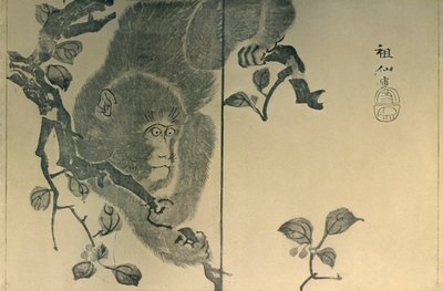 Apina, 1815, 1924. tekijältä Mori Sosen