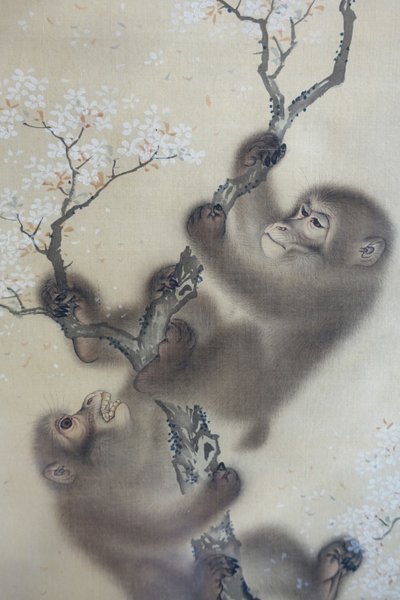 Apinoita kukkivassa kirsikkapuussa, 1 kahdesta, Mori Sosen, Japani, Edo-kausi, 1800-luvun alku, tussi ja väri silkille - Arthur M. Sackler Museum, Harvard University - DSC01127 tekijältä Mori Sosen