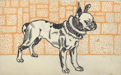 Pitbullterrieri, 1912. tekijältä Moritz Jung