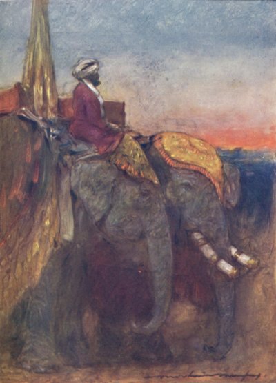 "Jaipur Elephants", 1903 tekijältä Mortimer L Menpes