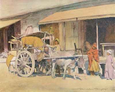 Härkäkärry, Ajmere, 1905 tekijältä Mortimer Ludington Menpes