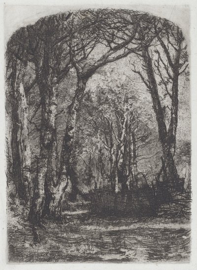 Woods [Bosco] tekijältä Mose Bianchi