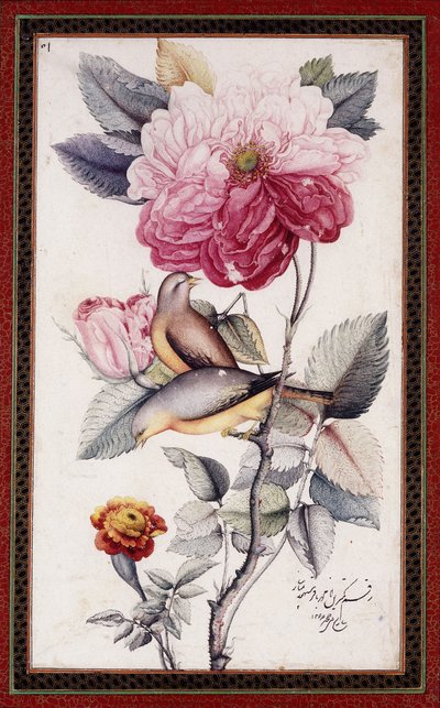 Gul-o Bulbul, n. 1849-50 (akvarelli paperille) tekijältä Muhammad Baqir