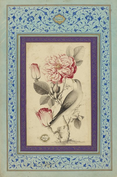 Ruusut ja satakieli, 1700-luvun loppu (muste ja väri paperille) tekijältä Muhammad Baqir