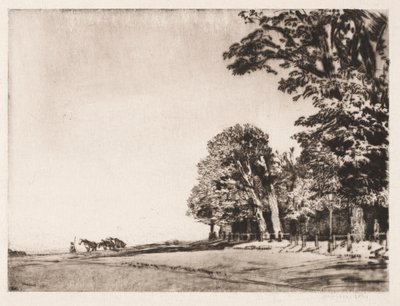 Hampstead Heath tekijältä Muirhead Bone