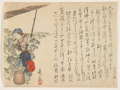 Teepoimijoita, noin 1830-44 (värillinen puupiirros) tekijältä Murata Kagen