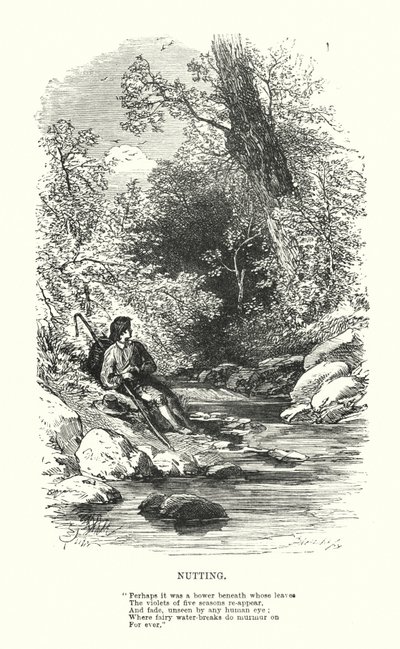 William Wordsworth: Pähkinä (kaiverrus) tekijältä Myles Birket (after) Foster
