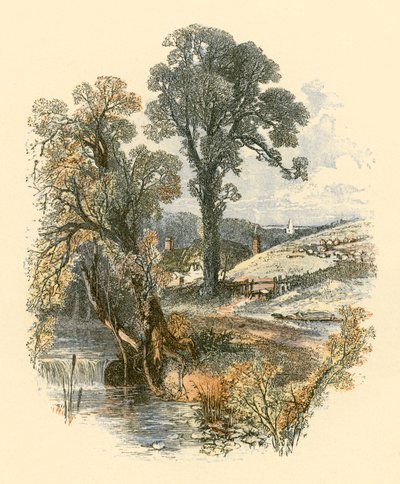 Luonnon kauneudet tekijältä Myles Birket Foster
