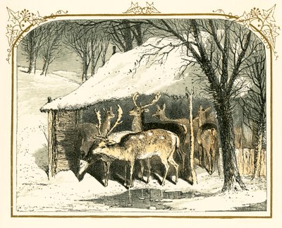 Hirvi lumessa tekijältä Myles Birket Foster