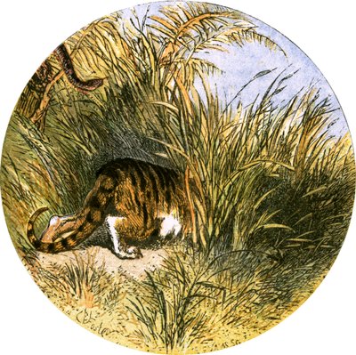 Kuvitus "Autioitu kylä" tekijältä Myles Birket Foster