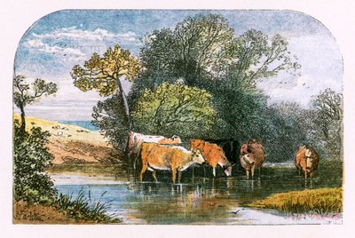 Kuvitus "Autioitu kylä" tekijältä Myles Birket Foster