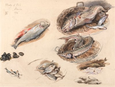 Kalatutkimus, Venetsia tekijältä Myles Birket Foster