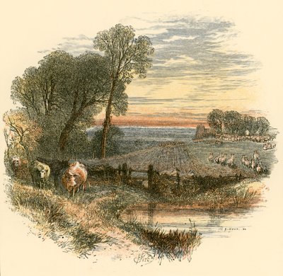 sunnuntai tekijältä Myles Birket Foster