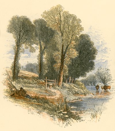 Sunnuntai Kävelyt tekijältä Myles Birket Foster