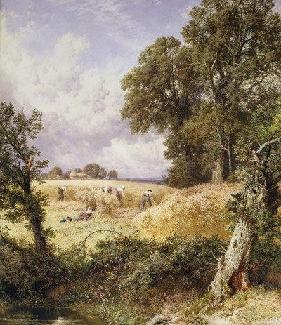 Viikaterit, tekijältä Myles Birket Foster