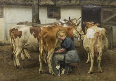 Lehmien lypsäminen. Länsi-Jyllanti tekijältä N.P. Mols