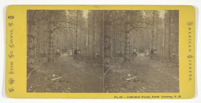 Cathedral Woods, North Conway, N.H., 1800-luvun puoliväli. tekijältä N.W. Pease