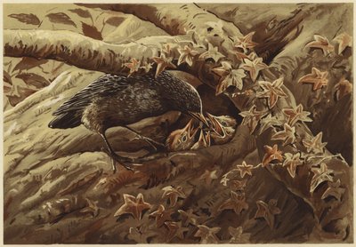 Meluisa lastenhuone (litho) tekijältä N. Parker