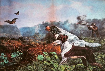Amerikkalainen kenttäurheilu: A Chance for Both Barrels tekijältä Currier and Ives