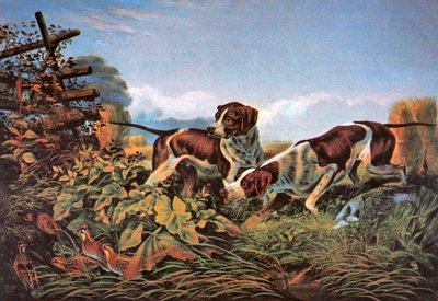 Amerikkalainen kenttäurheilu: On a Point tekijältä Currier and Ives