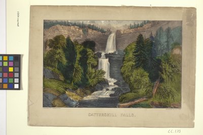 Catterskill Falls (käsinvärinen litografia) tekijältä N. and Ives J.M. (1824 95) Currier