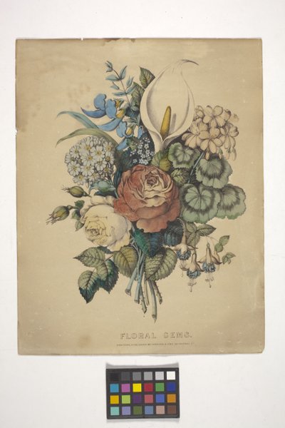 Kukkahelmi (käsinvärinen litografia) tekijältä N. and Ives J.M. (1824 95) Currier