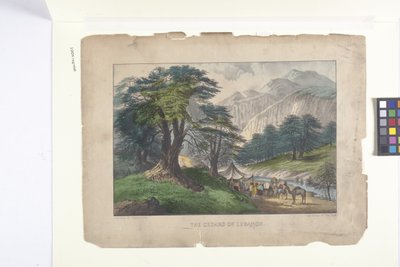 The Cedars Of Lebanon (litografie colorată manual) finlandez tekijältä N. and Ives J.M. (1824-95) Currier